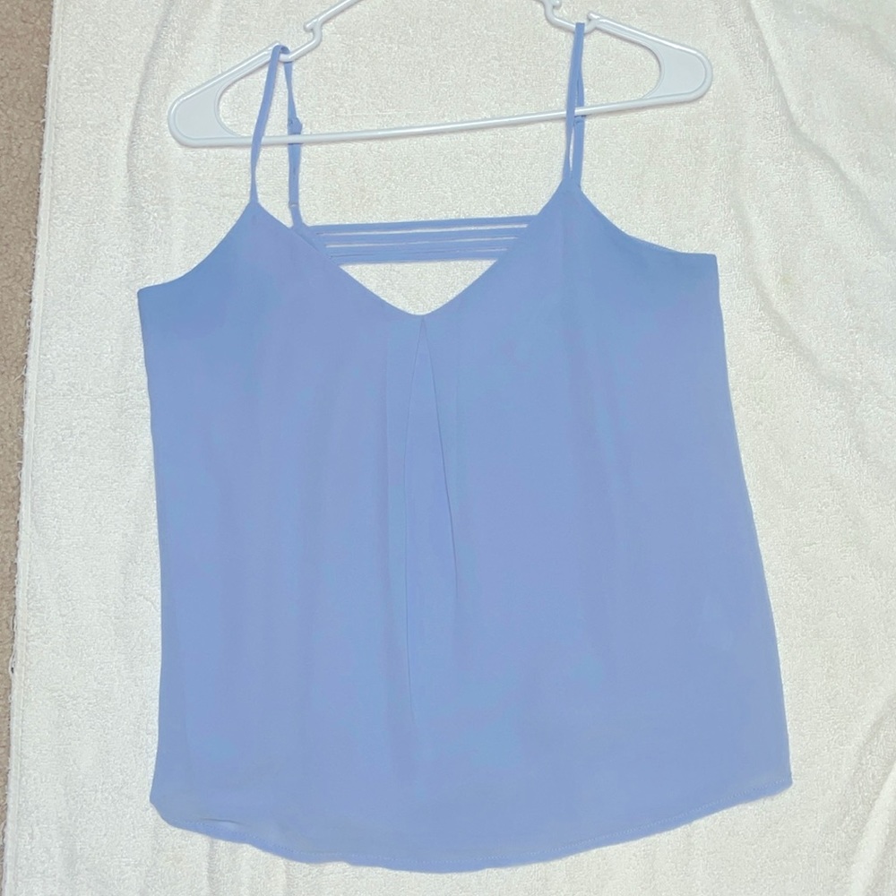 Naked Zebra Periwinkle Top
